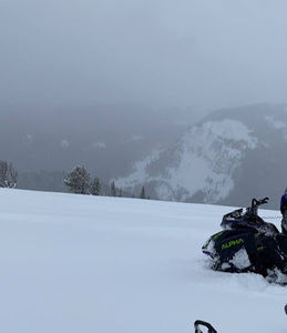 Meet your Posher, Paul